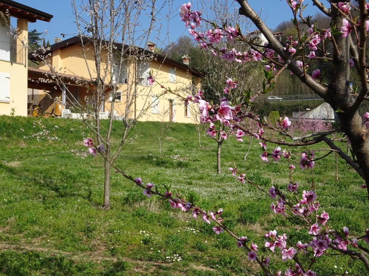 Апартаменты Cascina Legnago Trilocale A 6 Chilometri Da Salo' Villanuova sul clisi Экстерьер фото