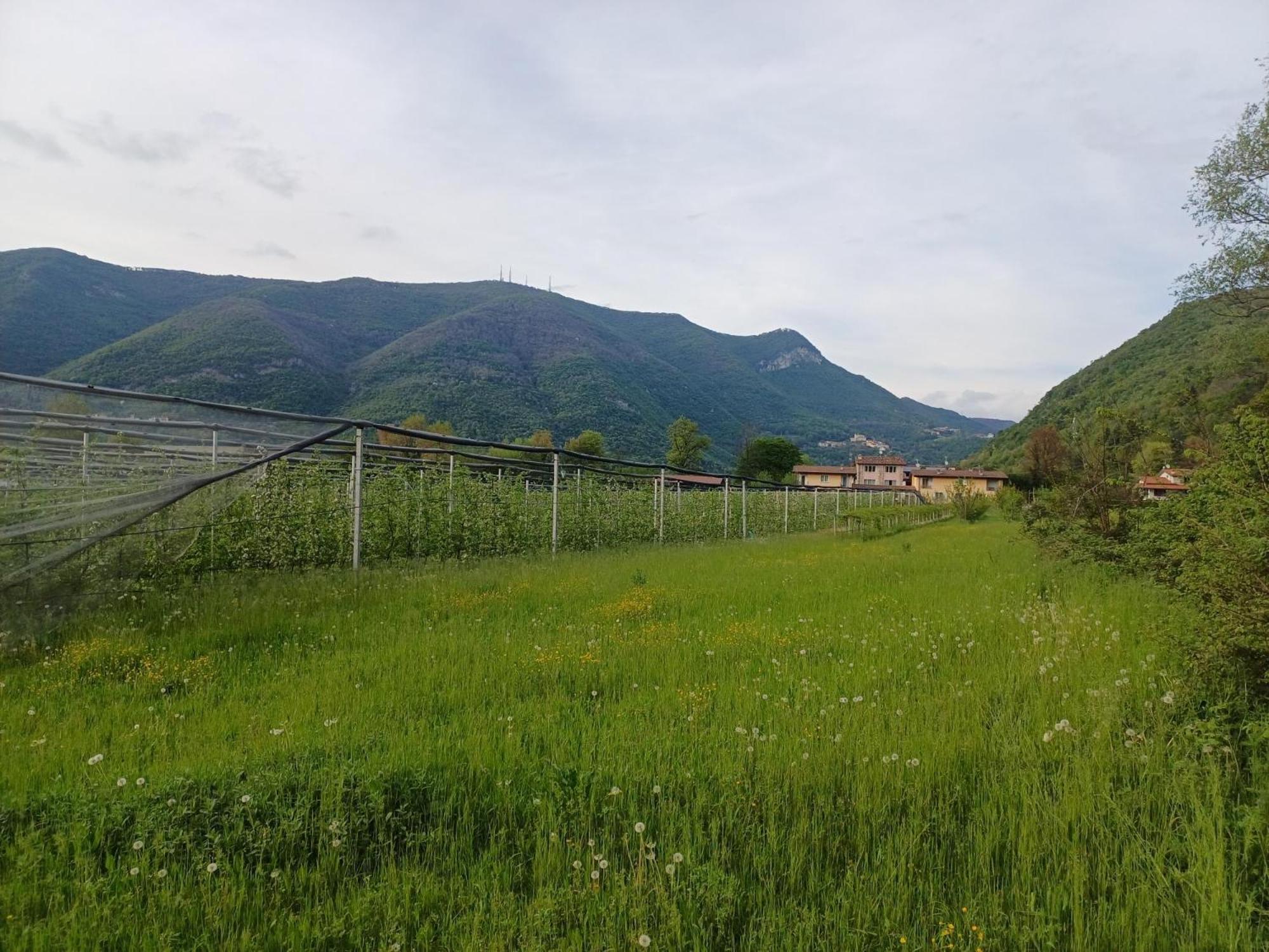 Апартаменты Cascina Legnago Trilocale A 6 Chilometri Da Salo' Villanuova sul clisi Экстерьер фото